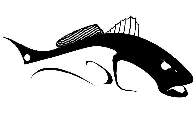 Lasara ISD 2023 Superintendent's Fishing Tournament